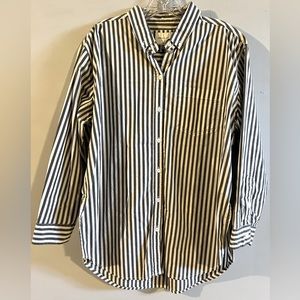 American Eagle Oversized Oxford Button-up Shirt